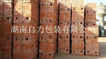 自力1608磚塊打包帶適應(yīng)性高柔韌性好